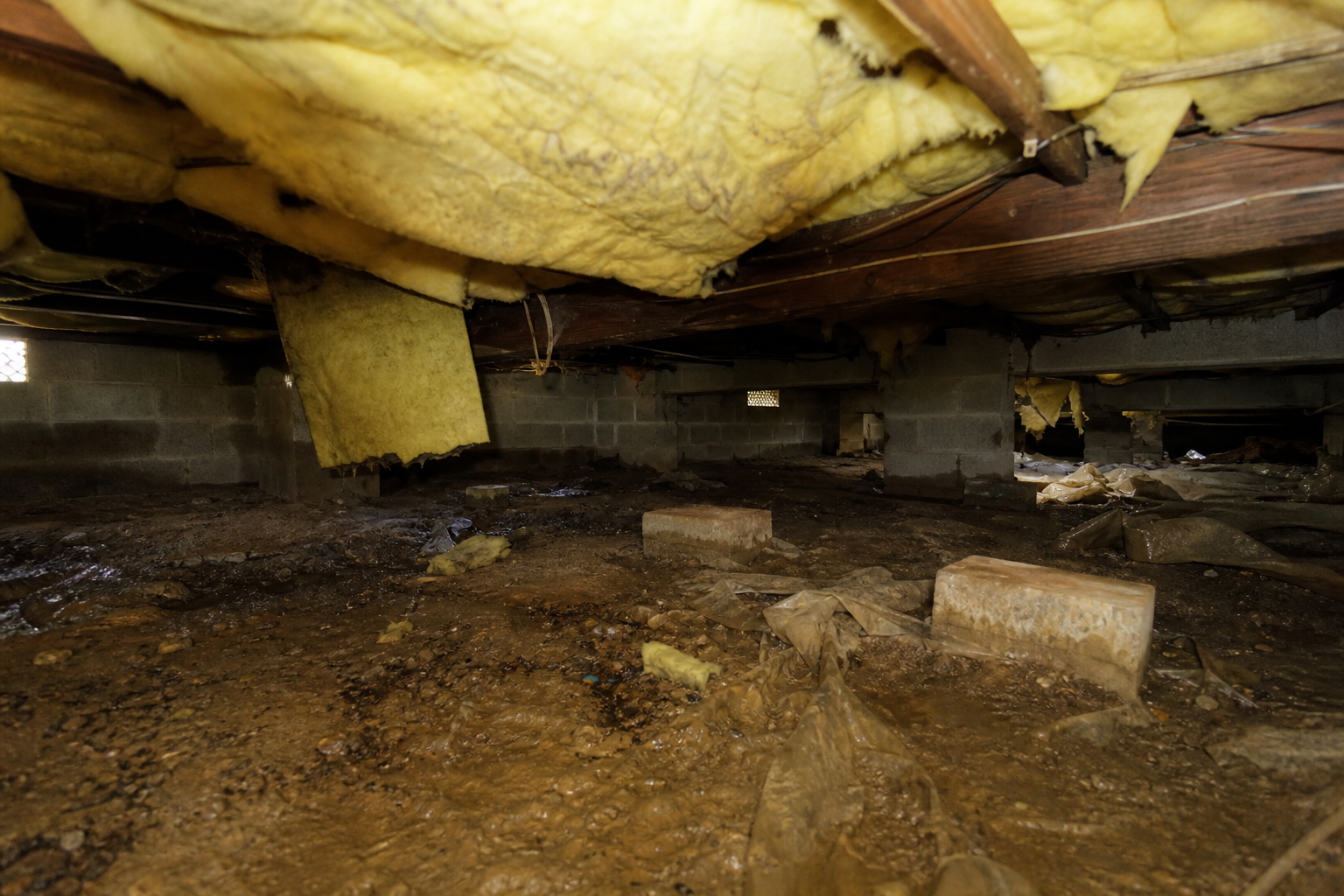 Before encapsulation: damp vented crawl space with exposed dirt floor and hanging insulation beneath a Richmond-area home